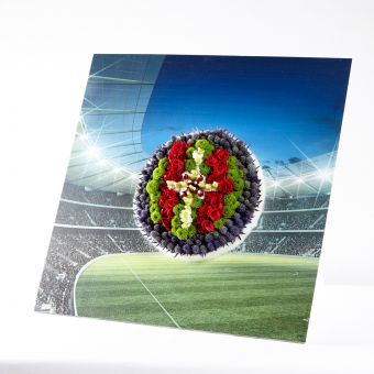 OASIS® Ideal Floral Foam FotoFloral Stadium Badge Ball