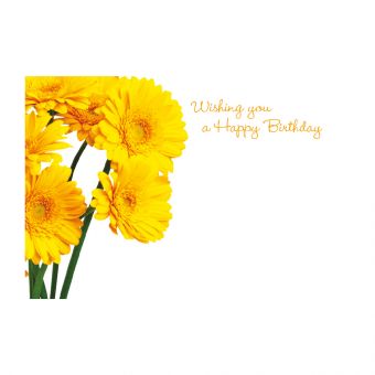 Wishing You a Happy Birthday - Yellow Gerberas