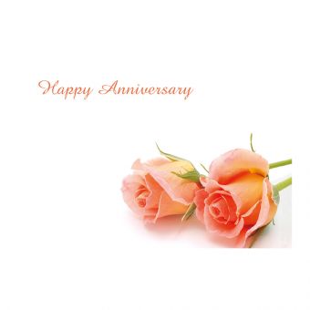 Happy Anniversary - Peach Roses