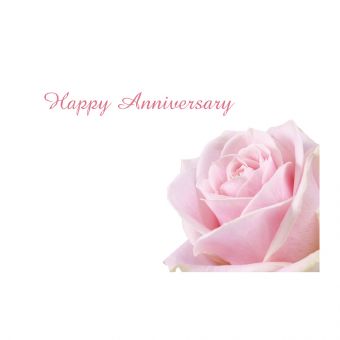 Happy Anniversary - Pale Pink Rose