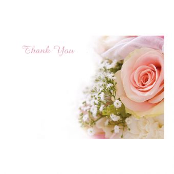 Thank You - Pink Rose