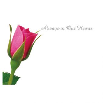 Always in our Hearts - Pink Rosebud