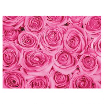 Wall of Pink Roses (60-00196-GROUP)