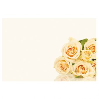 Cream Roses (60-00237-GROUP)