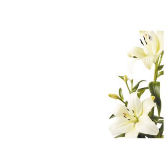 White & Green Lilies (60-00240-GROUP)