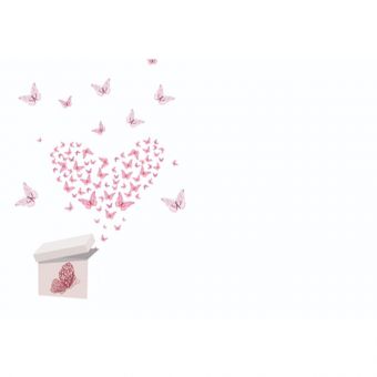 Butterflies Flying out a Box
