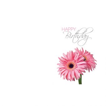 Happy Birthday - Two Pink Gerbera