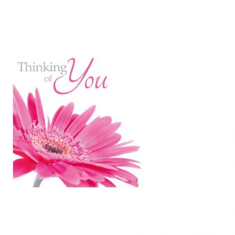 Thinking of You - Pink Gerbera