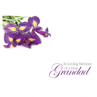 ILM Dear Grandad - Purple Irises