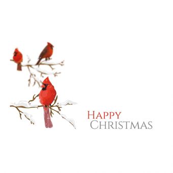 Happy Christmas - Birds