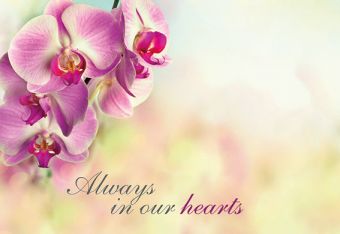 Always in our Hearts - Pink Orchid (60-01002-GROUP)