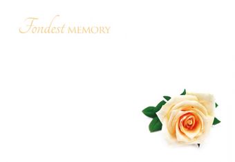 Fondest Memory - Cream Rose (60-01015-GROUP)