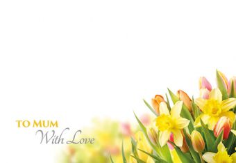 Happy Mothers Day - Tulips & Daffodils (60-01114-GROUP)