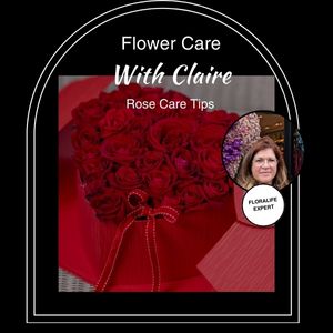 Flower Care with Claire